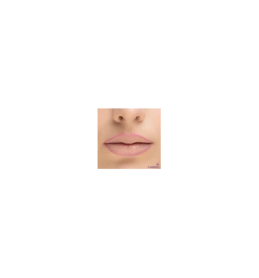 Nejha Matita Labbra/Gloss  Lip Ossession Pencil FLAMINGO 01